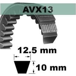 AVX13x1018