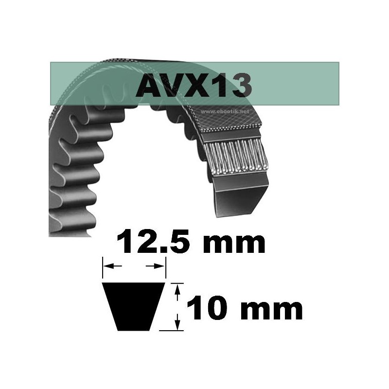 AVX13x1018